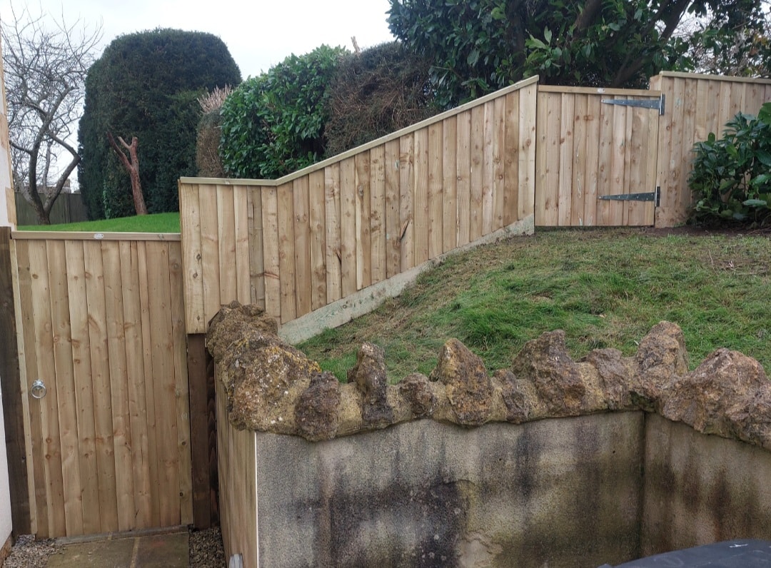 Larch lap fencing project