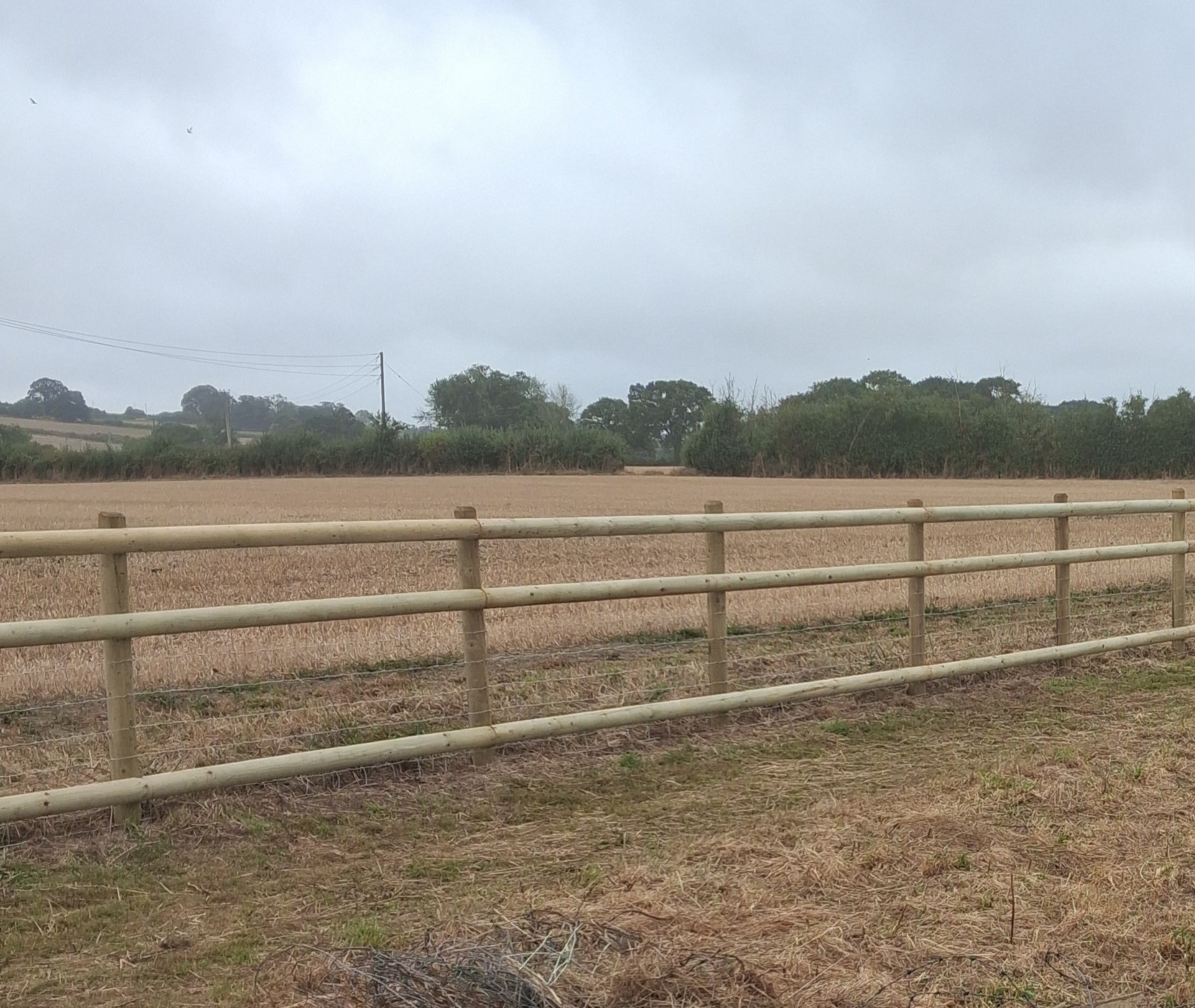 Post and rail fencing project