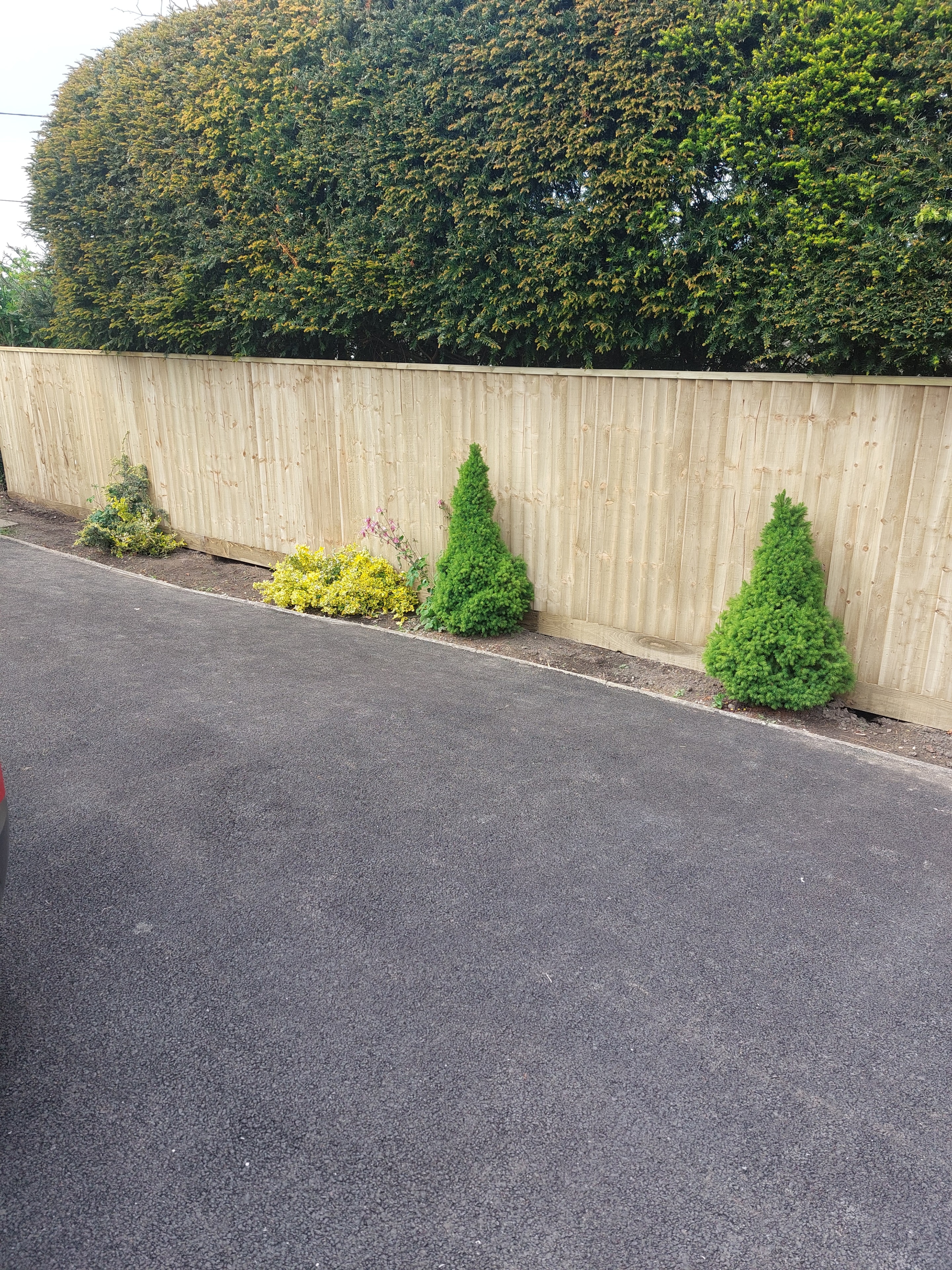 Garden boundary fencing with planting